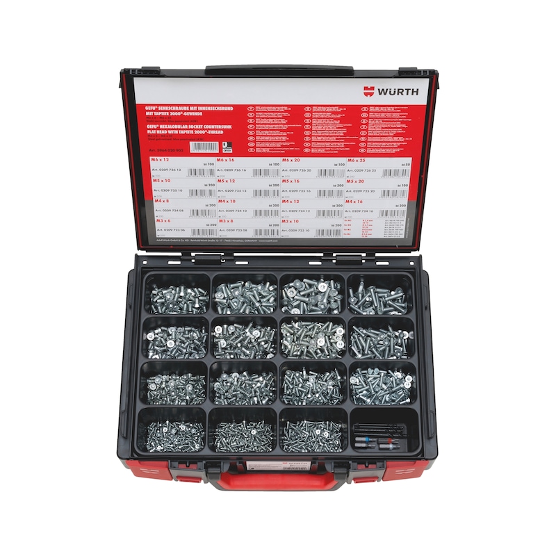 Coffret de vis autotaraudeuses GEFU TF acier zingué DIN 7500-1