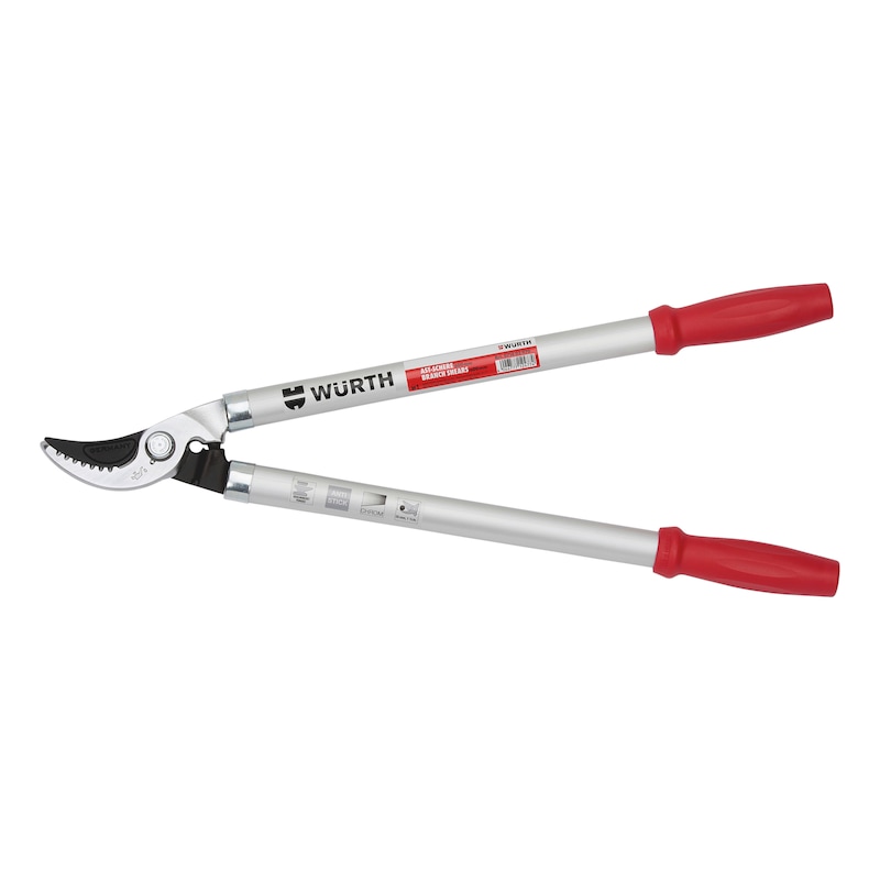 Set Da Giardinaggio AB Tools Con Cesoie, Svettatoio E Guanti – 2 Pezzi Con Lama In Acciaio Al Carbonio