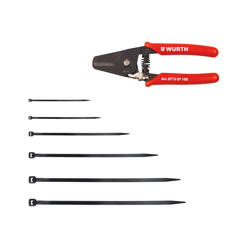 Lot d'attache-câbles rilsans et pince coupante - 2601 pcs