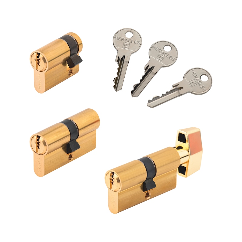 Cylindre européen avec 5 goupilles en laiton poli