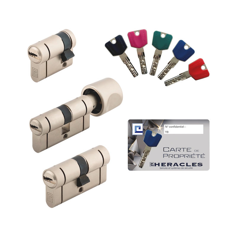 Cylindre européen Y8 s'entrouvrant Héraclès