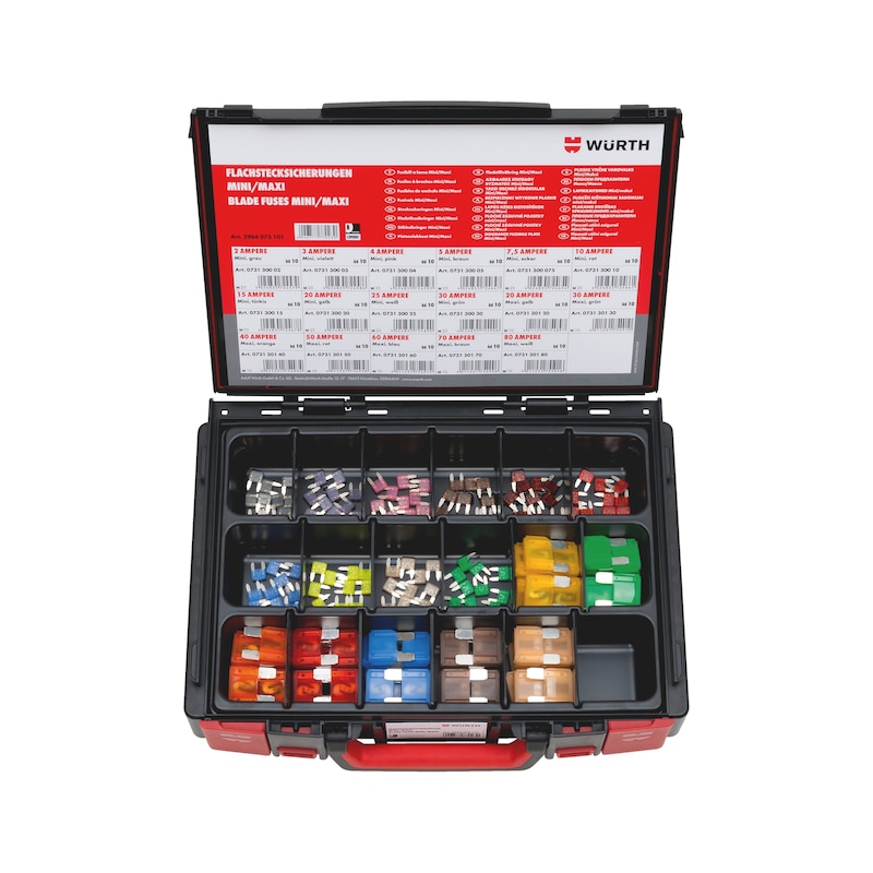 Coffret de fusibles à broche mini-maxi pour véhicule - 170 pcs