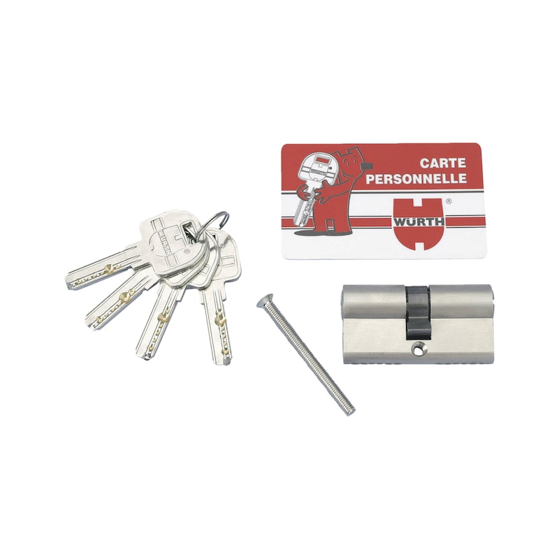 Cylindre de haute sécurité à profil européen PROTECT