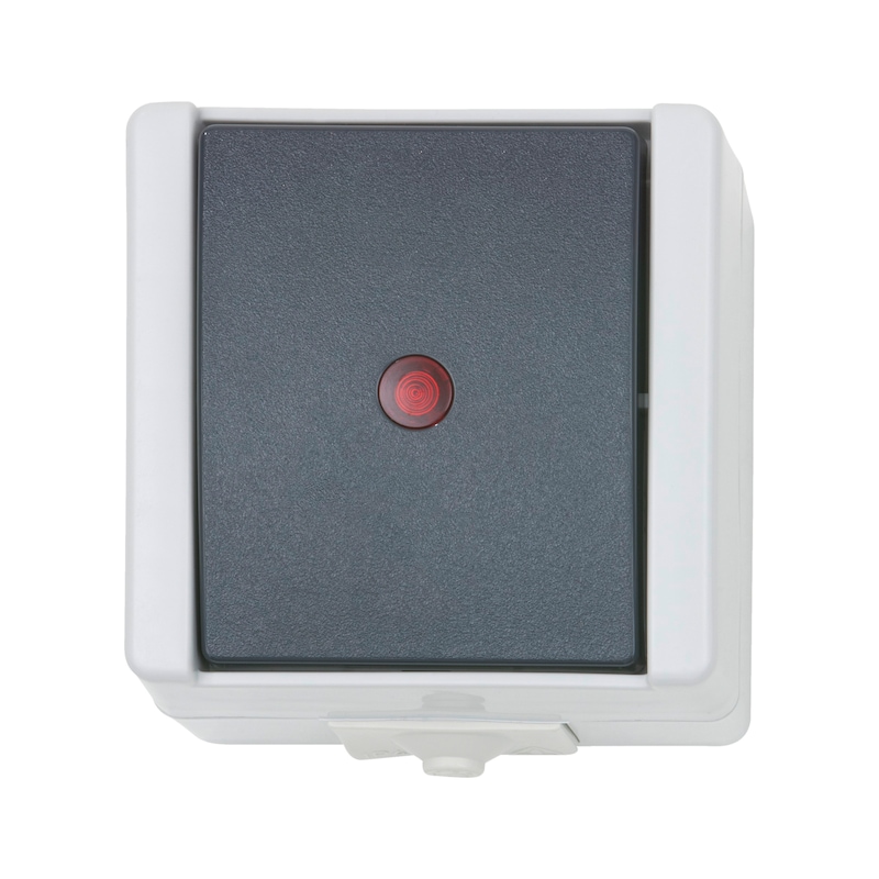 AP damp-room control switch off/changeover - 1 AP damp-room control switch off/changeover - 1