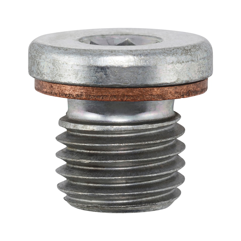 Wht011376 Buy Oil drain plug with seal (0243144036) | WÜRTH