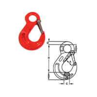 EYE HOOK WITH SAFETY LATCH TYPE N