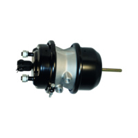 CILINDRO DE FRENO, MERITOR, 20/24 PULGADAS