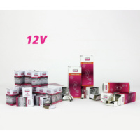 Pack lámparas AUTO 12V
