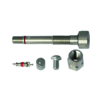 TPMS VALVE + FITTING SET L 73