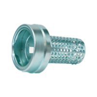 Fuel anti-theft device