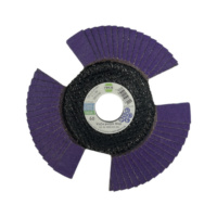 Fächerscheibe VisCo Keramik purple mit Durchblick