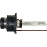 XENARC BULB WITH BLUE INTENSE D2S