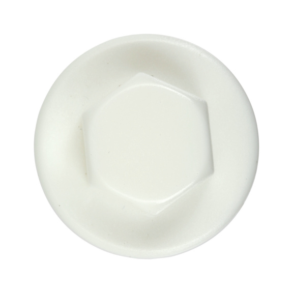 Caps for façade construction screw - Caps for façade construction screw, RAL 9010, pure white, Ø 20 mm