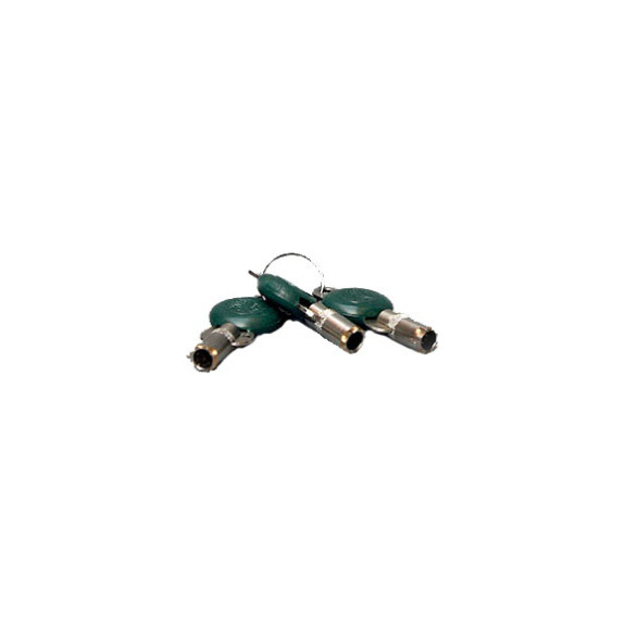 Copia de la llave para antirrobos