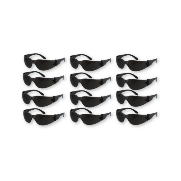 B&uuml;gelschutzbrille EX 101 - 12 Pack - Package 12 St. Schutzbrille EX 101 grau