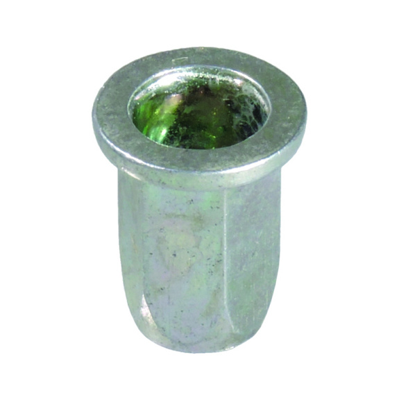 BLIND RIVET NUT PEUGEOT - BLIND RIVET NUT PEUGEOT C0079