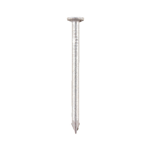 Round wire nails galv 1kg - 1