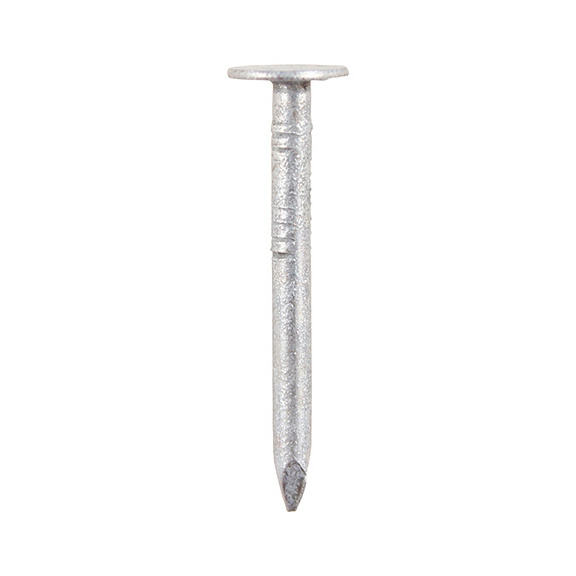 Clout nails galv 1kg - 1