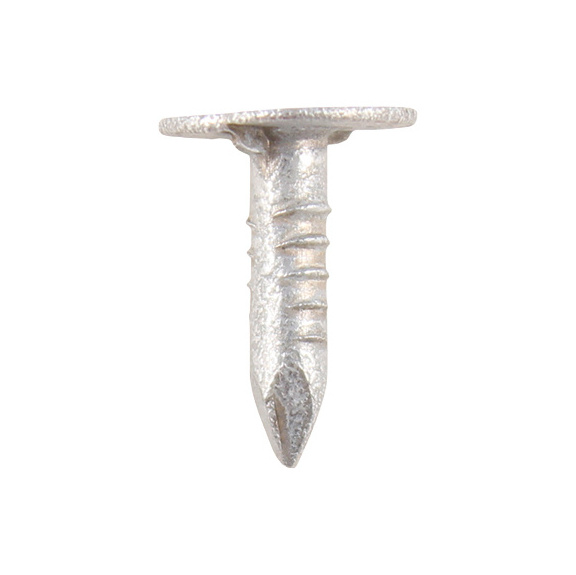 Extra large head clout nails galv 1kg - 1