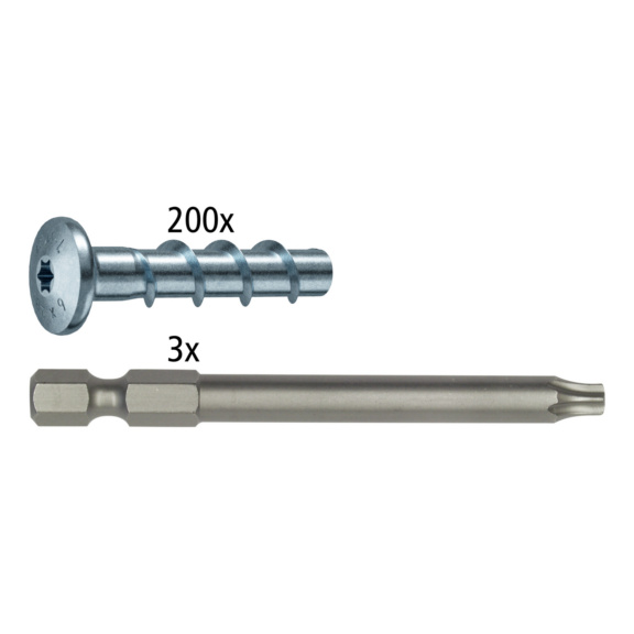 Aktionspaket Schraubanker TSM L vz LP + TX 30 Bit - Aktionspaket Schraubanker TSM L Stahl vz LP + TX 30 Bit