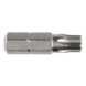 Bit TX 1/4" - RECA Bit 1/4" 25 mm TX 8 - 2