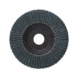F&auml;cherscheibe Loop-Mop Zirkon - 2