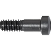 clamping screw for adjustable clamp, ISO clamp holder