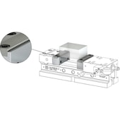 ROEMHELD Spanlijst met verwisselbaar grijpinzetstuk