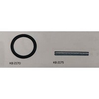 Locking ring (85300031)