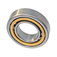 Cylindrical roller bearing nup307em / P5