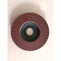 Flap Disc Grain 80m, 125mm