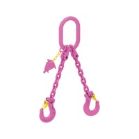 Double limb chain, 2435mm long, horn self-locking hook, bearing 9.5 / 6.7t