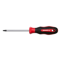 GEDORE RED Internal multi-tooth screwdriver bit set