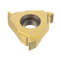 Thread turning indexable insert, PVD coated directly pressed 16ER8UN-A1,CP500