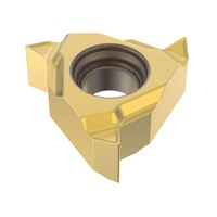 Thread turning indexable insert, PVD coated directly pressed 16NRAG60-A2,CP500