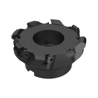 Outils de fraisage 220.43 R220.43-0125-07W