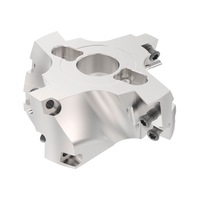 Shell end mill screw system R220.59-RE080034-12.4