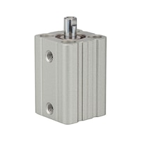RIEGLER Short-stroke cylinder (pneumatics)