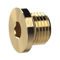 RIEGLER Screw plug (pneumatics)