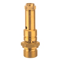 RIEGLER Security valve DN 8 G 3/8 (pneumatics)