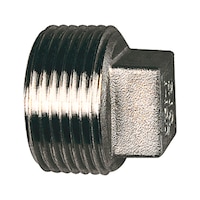 RIEGLER Plug (fitting, installation)