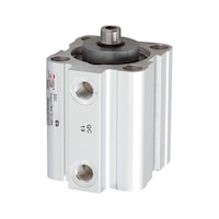 RIEGLER Short-stroke cylinder (pneumatics)