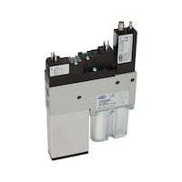 RIEGLER Vacuum switch