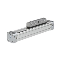 RIEGLER Rodless cylinder (pneumatics, unspecified)