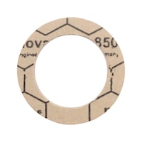 RIEGLER Flat gasket (unspecified)