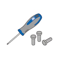 BIG DAISHOWA Torx-Plus, Spannschrauben SETs mit Schlüssel
