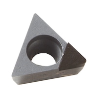 BIG DAISHOWA Insert TPGW-070202FN-FK10CBN