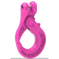 RUD Horn self-locking hook