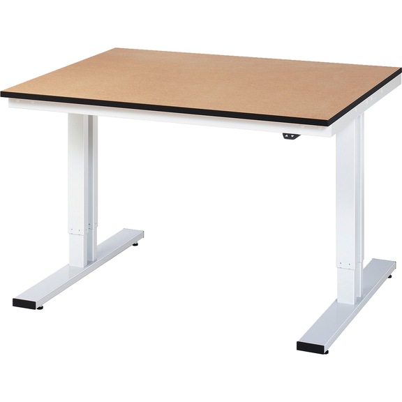 RAU workbench electrically height-adjustable 1250x1000x720-1120 mm top 22 mm - Workbench