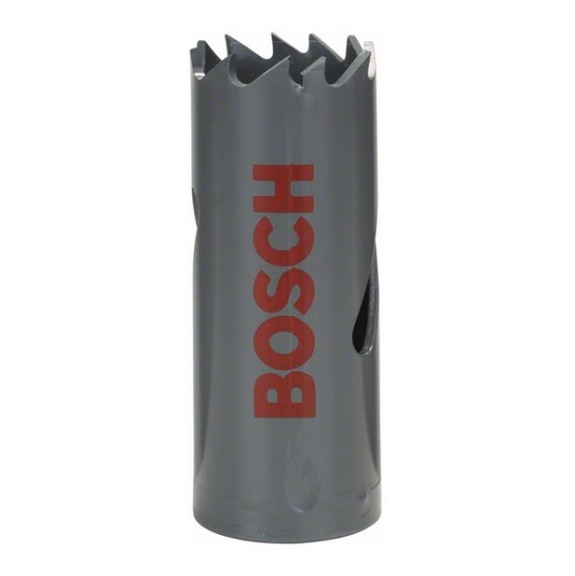 BOSCH HSS bi-metal hole saw for standard adapter 21 mm 13/16-inch 2608584103 - Hole saw (non-detachable cutting edges)